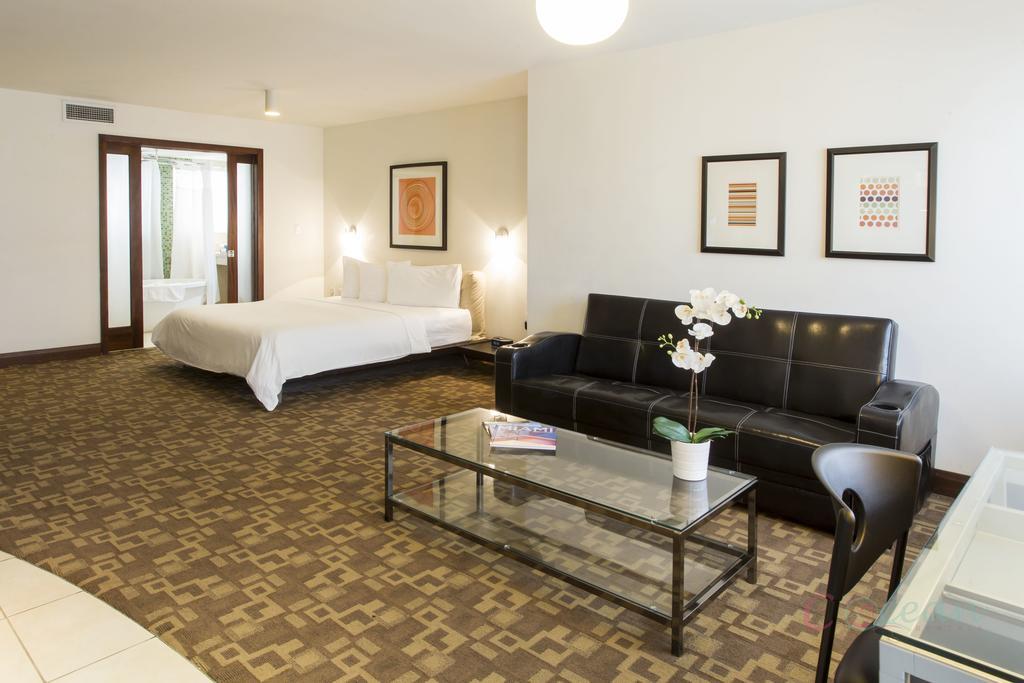 C Ocean Rentals At Strand Ocean Drive (Adults Only) 迈阿密海滩 外观 照片